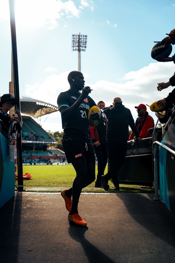 Port Adelaide v North Melbourne