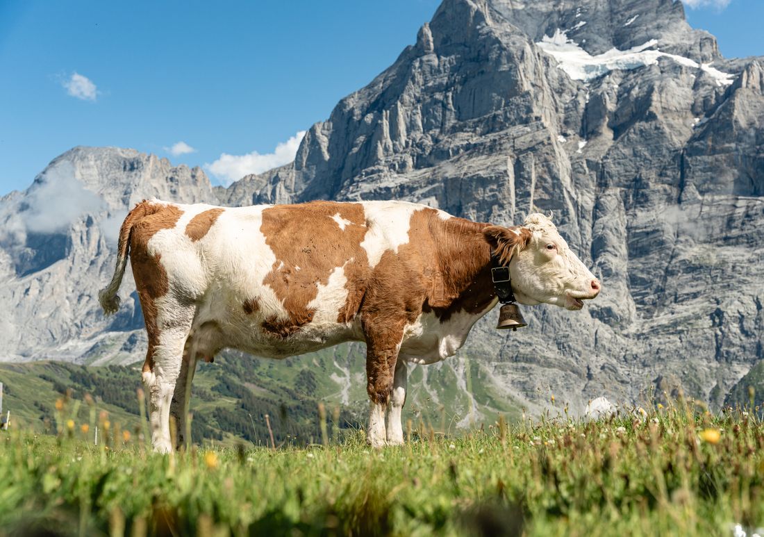 Switzerland